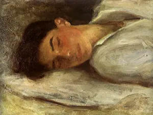 Tuke: Summer Dreams