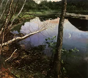 Ponds: Summer Evening