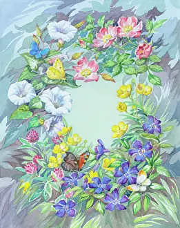 Buttercups: Summer Flower border with butterflies