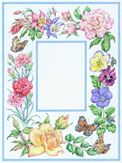 Tortoiseshell: Summer Flower Border - with Butterflies