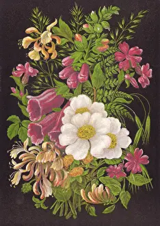 Woodbine: SUMMER FLOWERS 1880