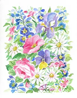 Pansy: Summer Flowers - iris, pansy, cornflowers etc