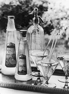 Siphon: SUMMER FRUIT DRINKS