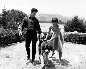 Summer Holiday (1963)