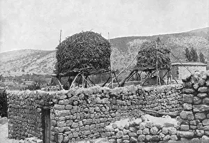 Summerhouse: Summer house in Caesarea Philippi, Mount Hermon, Holy Land