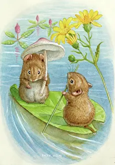Punting: Summer on the Lake - two voles punting