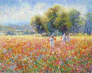 Jeanette: Summer Meadow, Shropshire