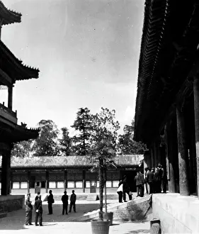 Voluntarily: Summer Palace at Peking