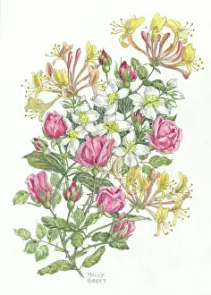 Scents: Summer Scents - roses, honeysuckle, syringa