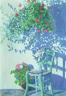 Edgerton: Summer Shadows ' hanging basket & chair