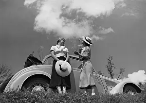 Dandelions: Summer trip with car, 1938