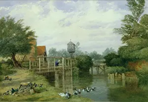 Dovecote: A Summer's Afternoon ' river with ducks
