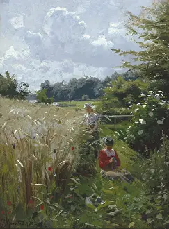 Peder: Summertime – Collecting Wild Flowers