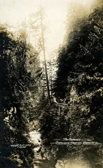Vancouver: The Summit Capilano Canyon, Vancouver, British Columbia