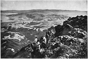 Tamalpais: Summit - Mt. Tamalpais - Landscape