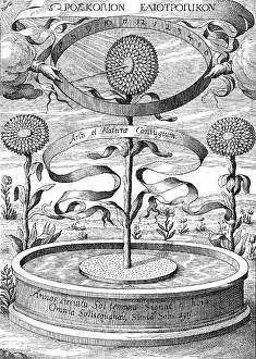 Botanicum: Sun Dial clock