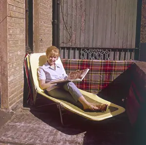 Lounger: SUN LOUNGER