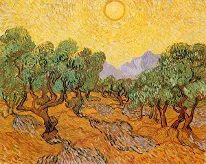 Radiating: Sun Over Olive Grove, by Van Gogh