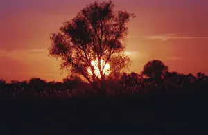 Matytsin: Sun Setting photo art work, 1991