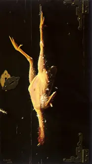 Plucked: For Sunday's Dinner