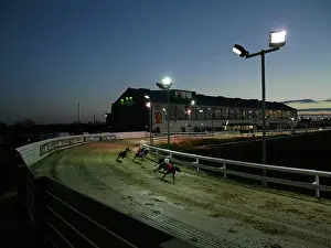 Hosting: SUNDERLAND GREYHOUND STADIUM, SOUTH TYNESIDE