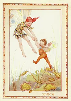 Learns: Sundew Fairies