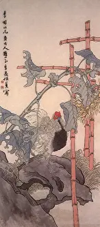 Rooster: Sunflower and Cock