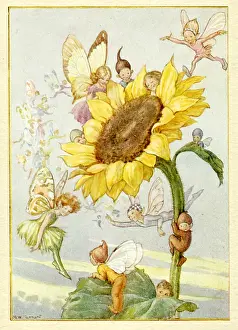 Printedcopy: Sunflower with fairies