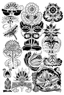 Lilley: Sunflower, Teasel