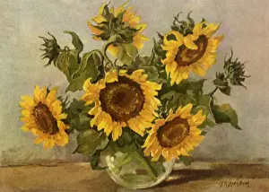 Sunflowers: Sunflowers in a Bowl
