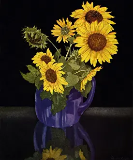 Sunflowers: Sunflowers in Jug
