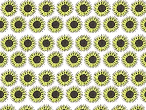 Tess Hines Designs: Sunflowers repeating pattern