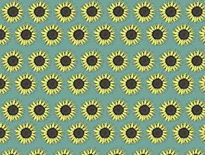 Tess Hines Designs: Sunflowers repeating pattern