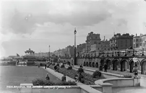Sunken: The Sunken Garden, Brighton
