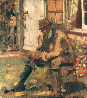 Fidler: Sunlight