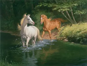 Sunlight on Forest Waters - two horses