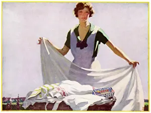 Freshly: Sunlight Soap - Sheets