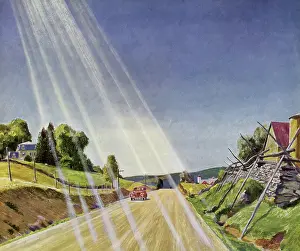 Viewer: Sunlit Country Road