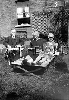 Lesley Bradshaw: SUNNING IN THE GARDEN