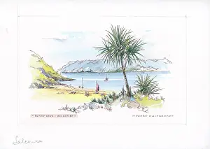 Salcombe: Sunny Cove, Salcombe