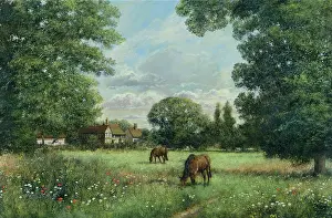Madgwick: Sunny Morning, Chelsworth, Suffolk