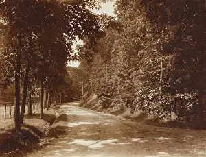 Electrification: A SUNNY ROAD, by Edward Curtis. This 1904 ?