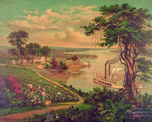 C1883: Sunny South