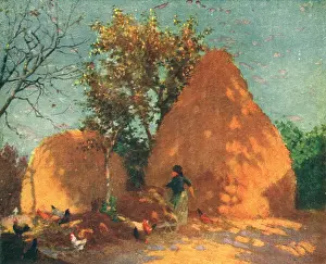 Pecking: A Sunny Spot In Italy