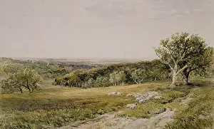 Wimperis: A Sunny Vale