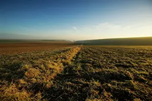 Vent: Sunrise in Champagne region