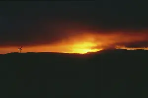 Chatham: Sunrise on Pitt Island