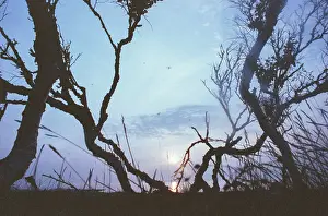 Matytsin: Sunset