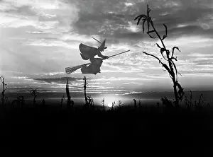 Halloween: Sunset Over Cornfield With Silhouette
