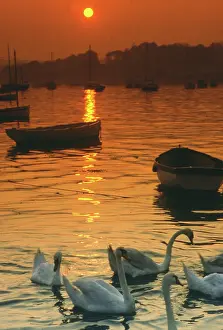 Ripple: Sunset over Falmouth harbour, Cornwall